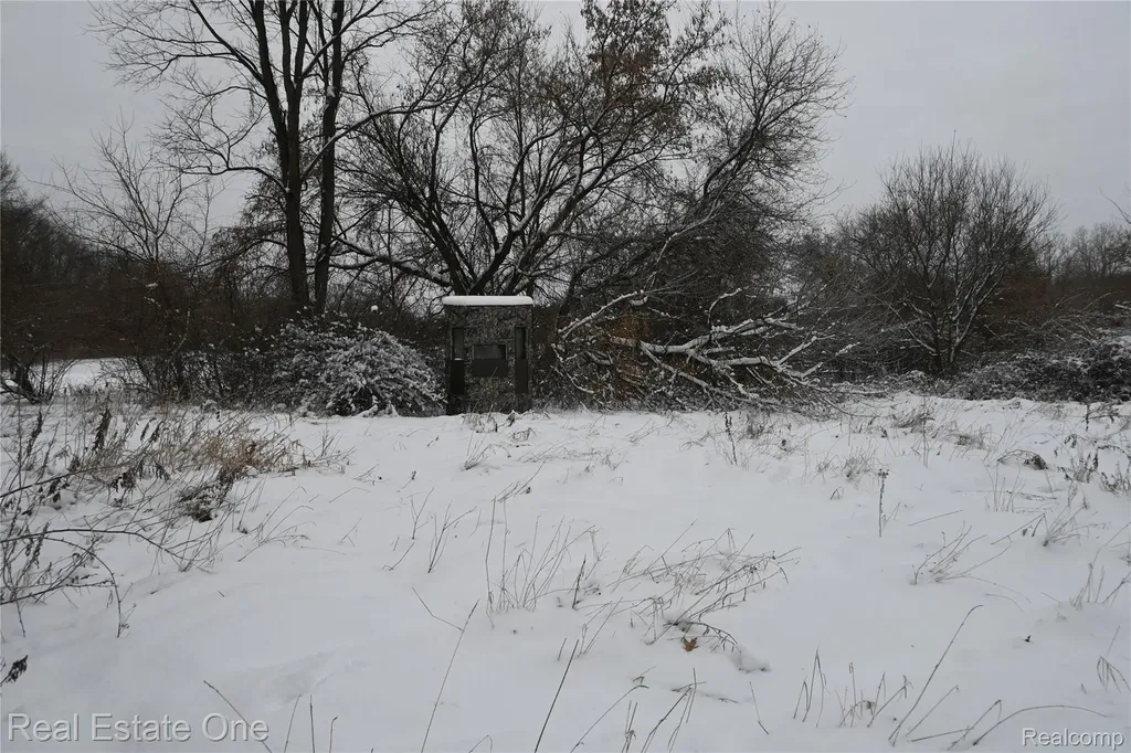 0000 Roberts Drive Henrietta Township MI 49259