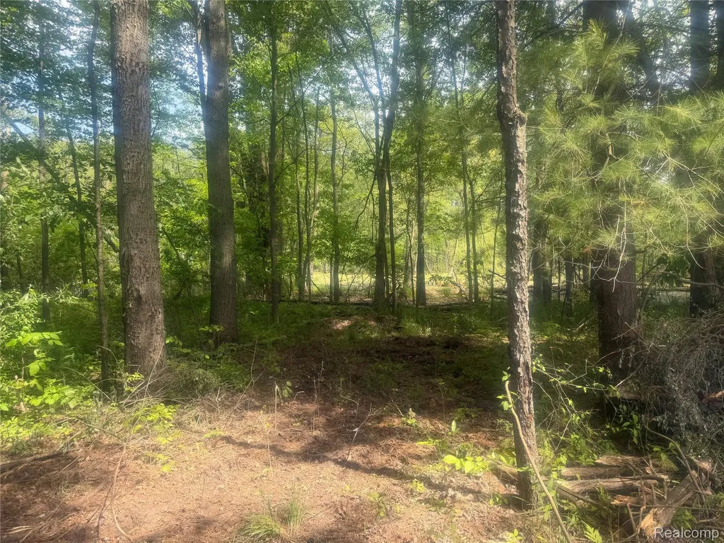 5716 Falkenbury Road Deerfield Township MI 48461