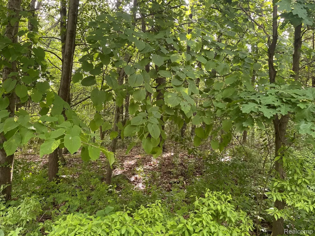 08 Tipsico Lake Highland Charter Township MI 48357