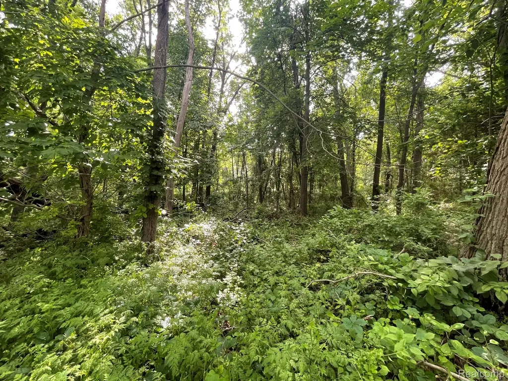 08 Tipsico Lake Highland Charter Township MI 48357