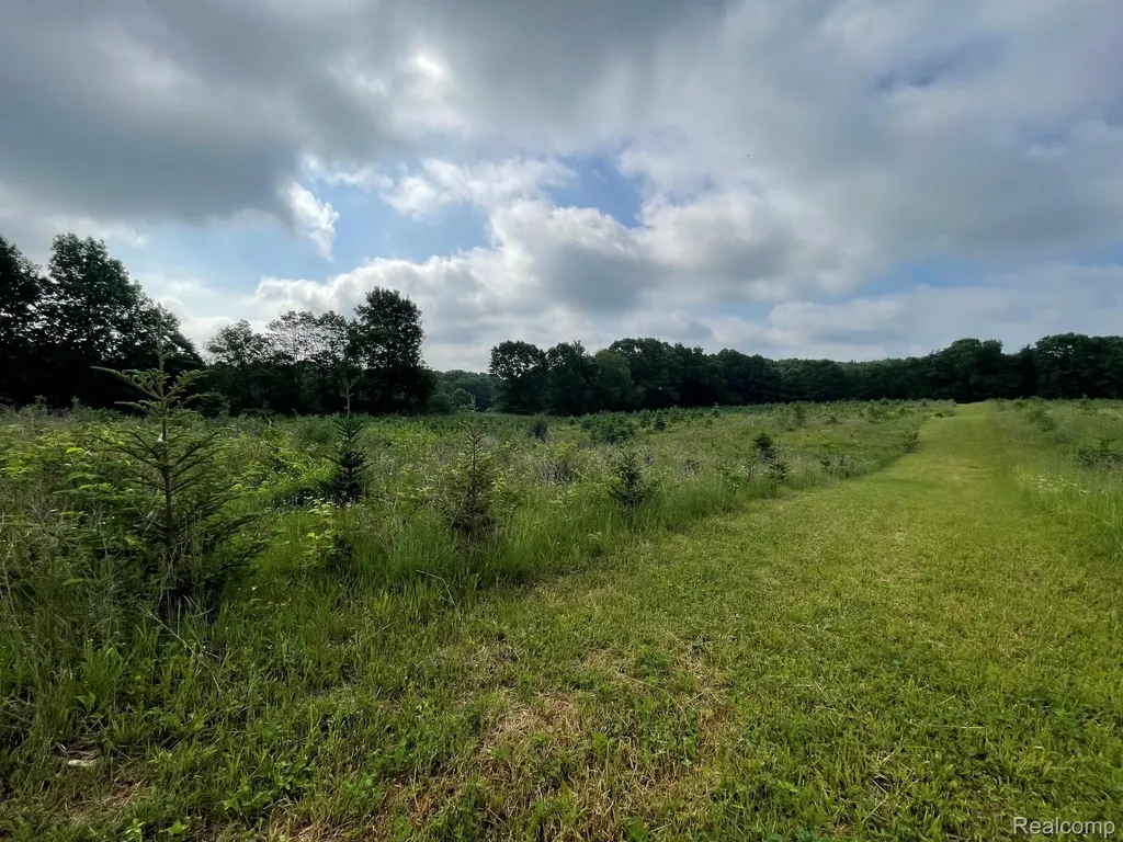 08 Tipsico Lake Highland Charter Township MI 48357