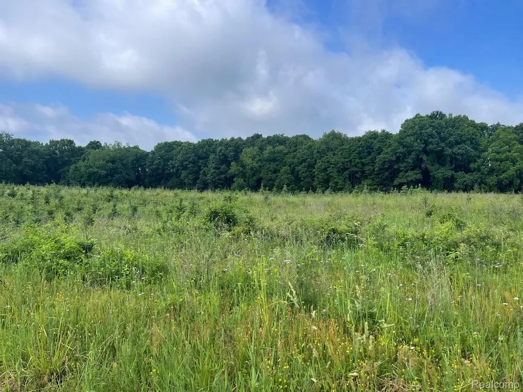 08 Tipsico Lake Highland Charter Township MI 48357