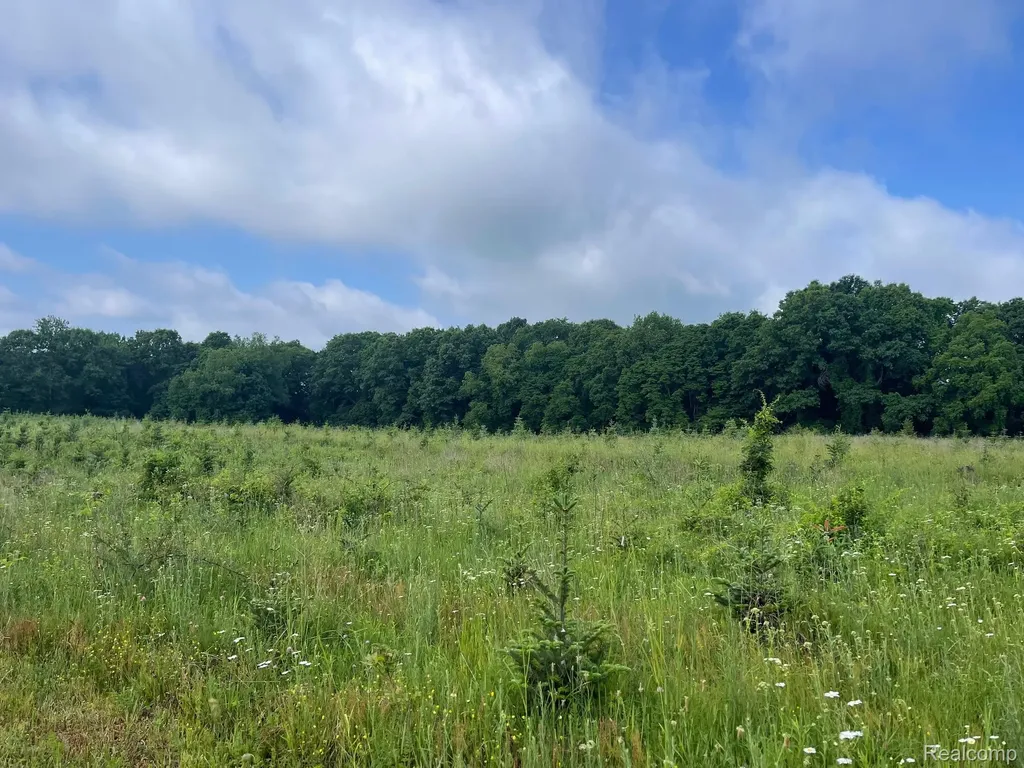 08 Tipsico Lake Highland Charter Township MI 48357