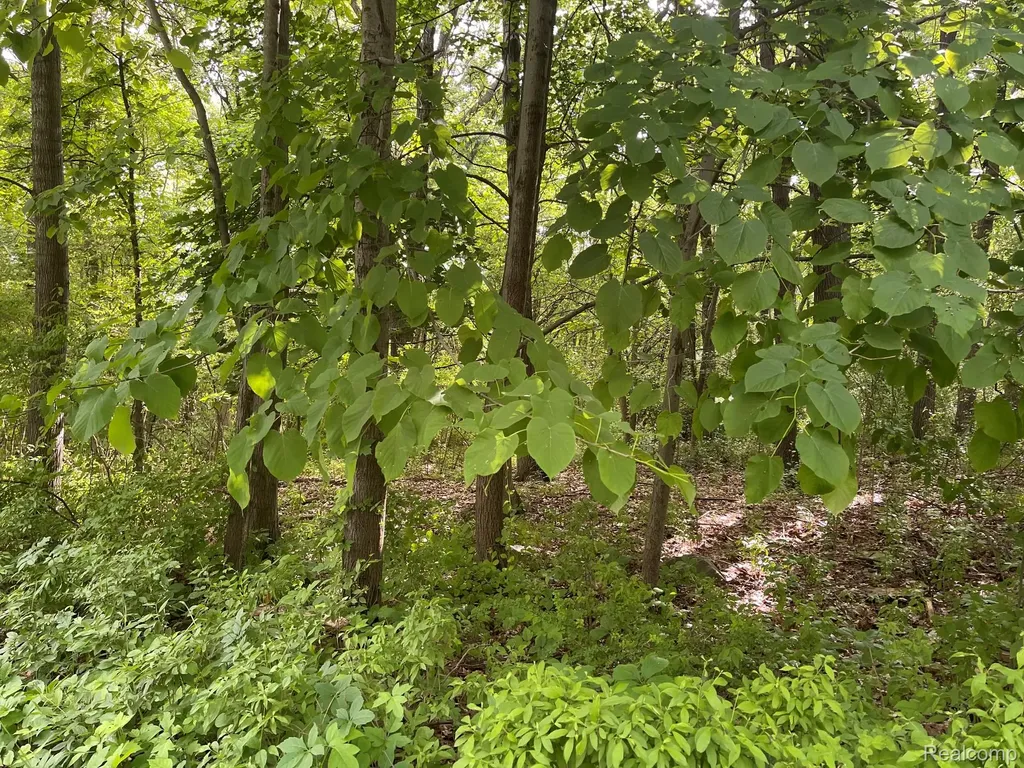 09 Tipsico Lake Road Highland Charter Township MI 48357
