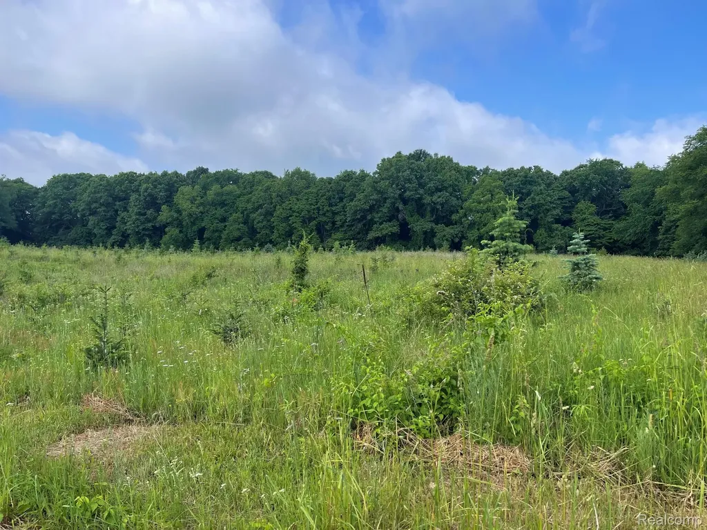 09 Tipsico Lake Road Highland Charter Township MI 48357