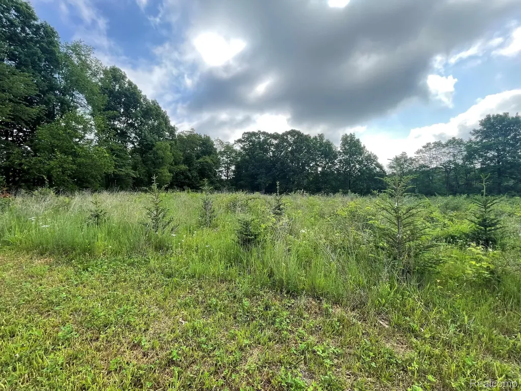 09 Tipsico Lake Road Highland Charter Township MI 48357