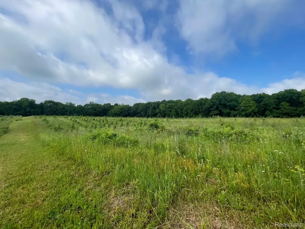09 Tipsico Lake Road Highland Charter Township MI 48357