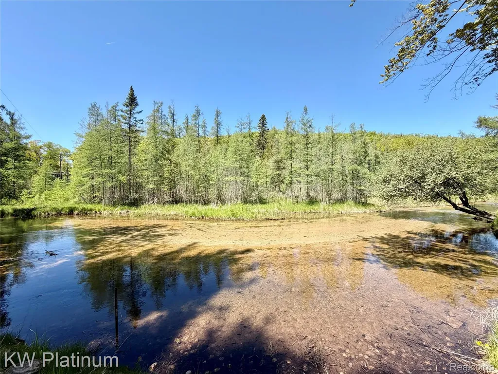 7050 Valley Lane Briley Township MI 49709