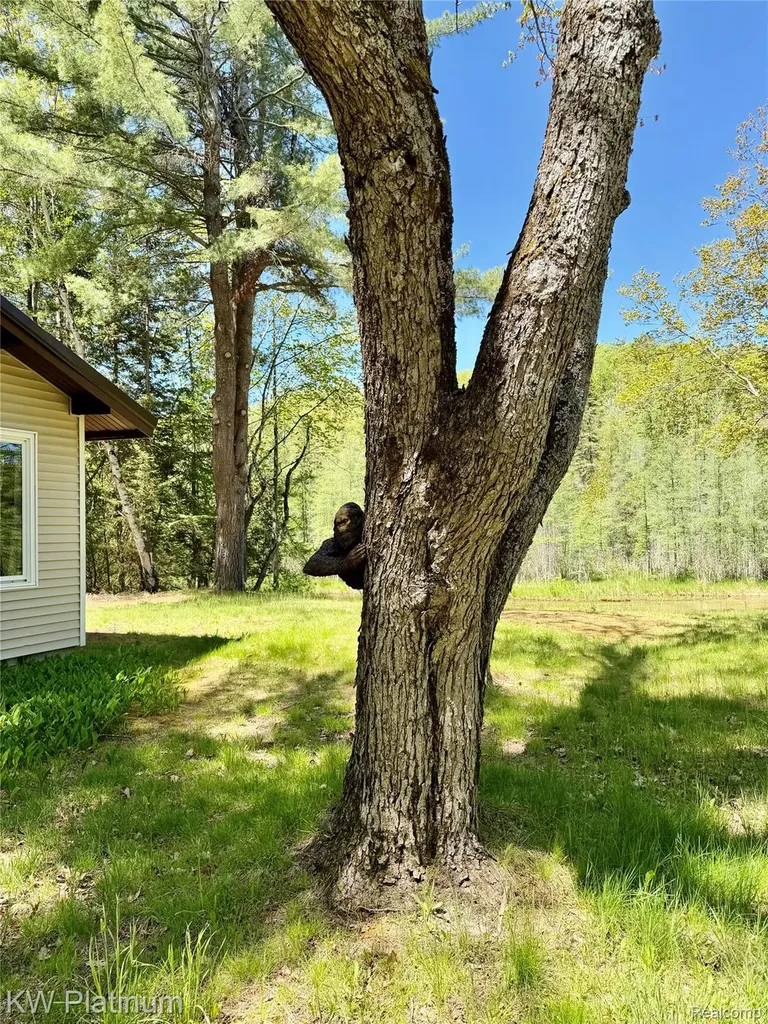7050 Valley Lane Briley Township MI 49709