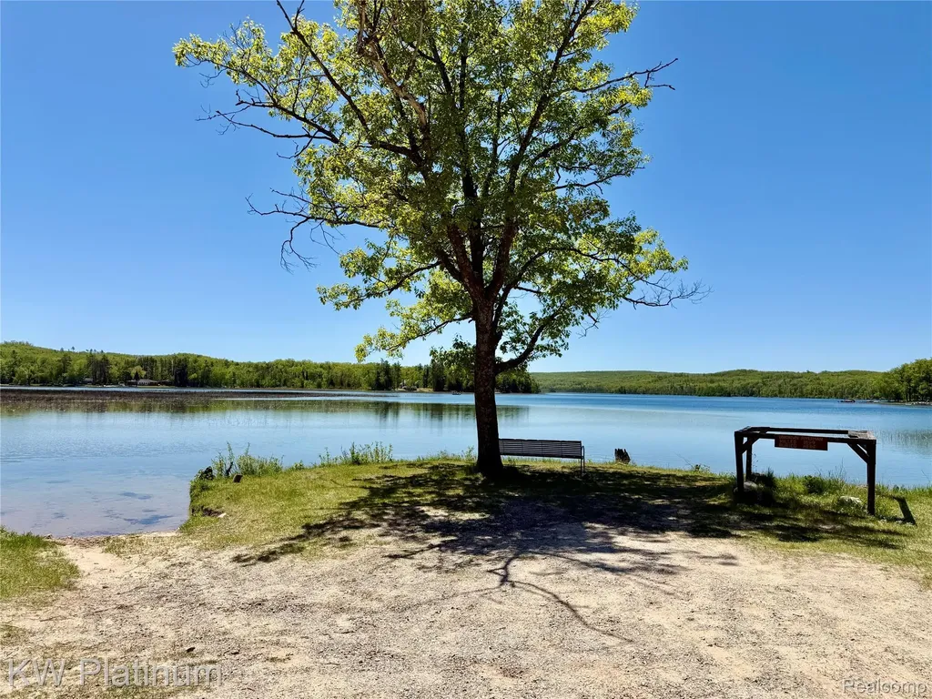 7050 Valley Lane Briley Township MI 49709