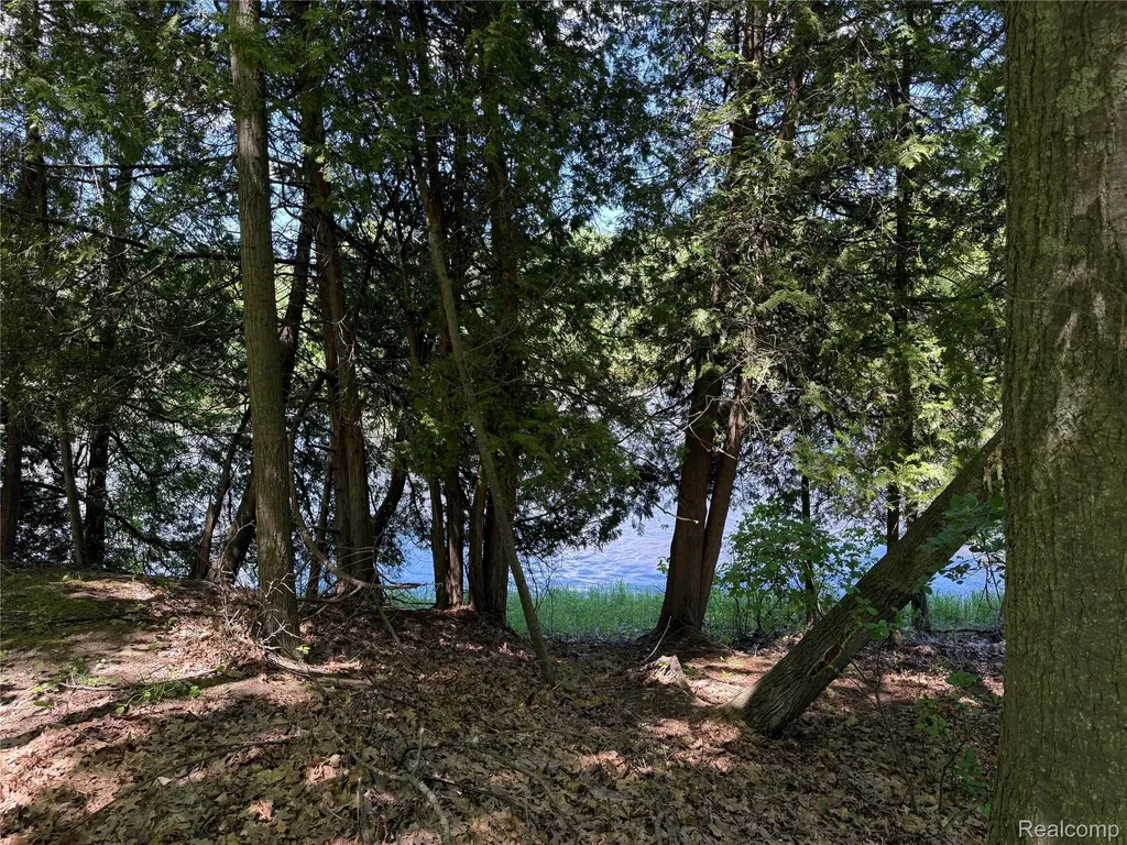 19672 Indian Drive Green Charter Township MI 49338