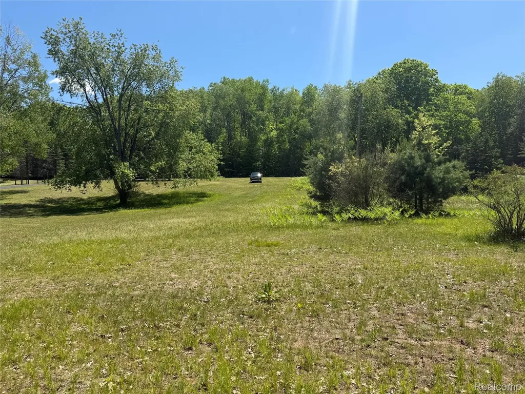 19672 Indian Drive Green Charter Township MI 49338
