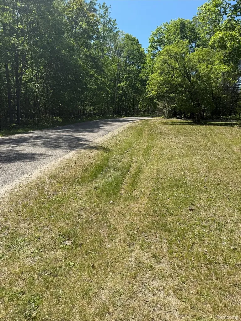 19672 Indian Drive Green Charter Township MI 49338