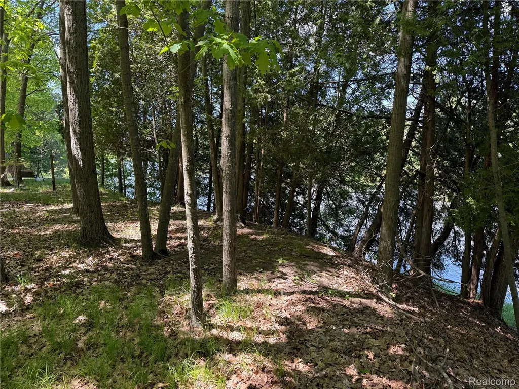 19672 Indian Drive Green Charter Township MI 49338