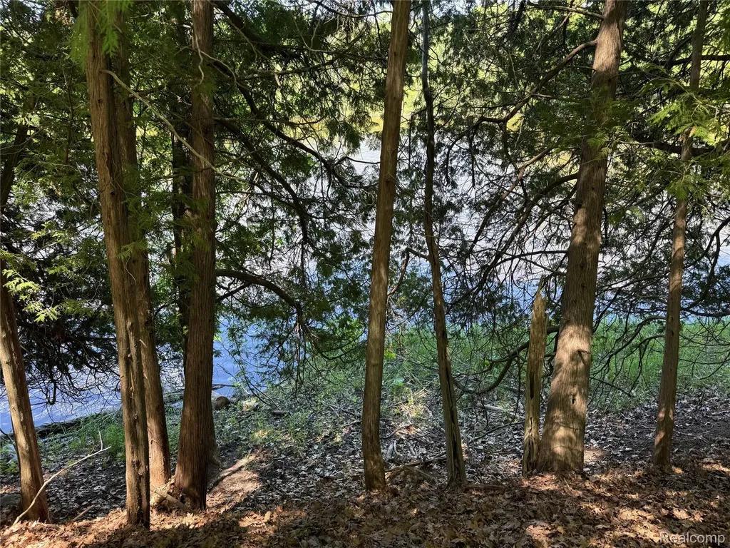 19672 Indian Drive Green Charter Township MI 49338