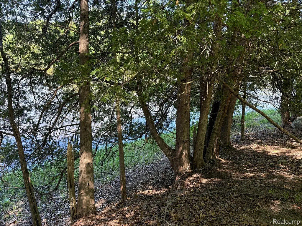 19672 Indian Drive Green Charter Township MI 49338