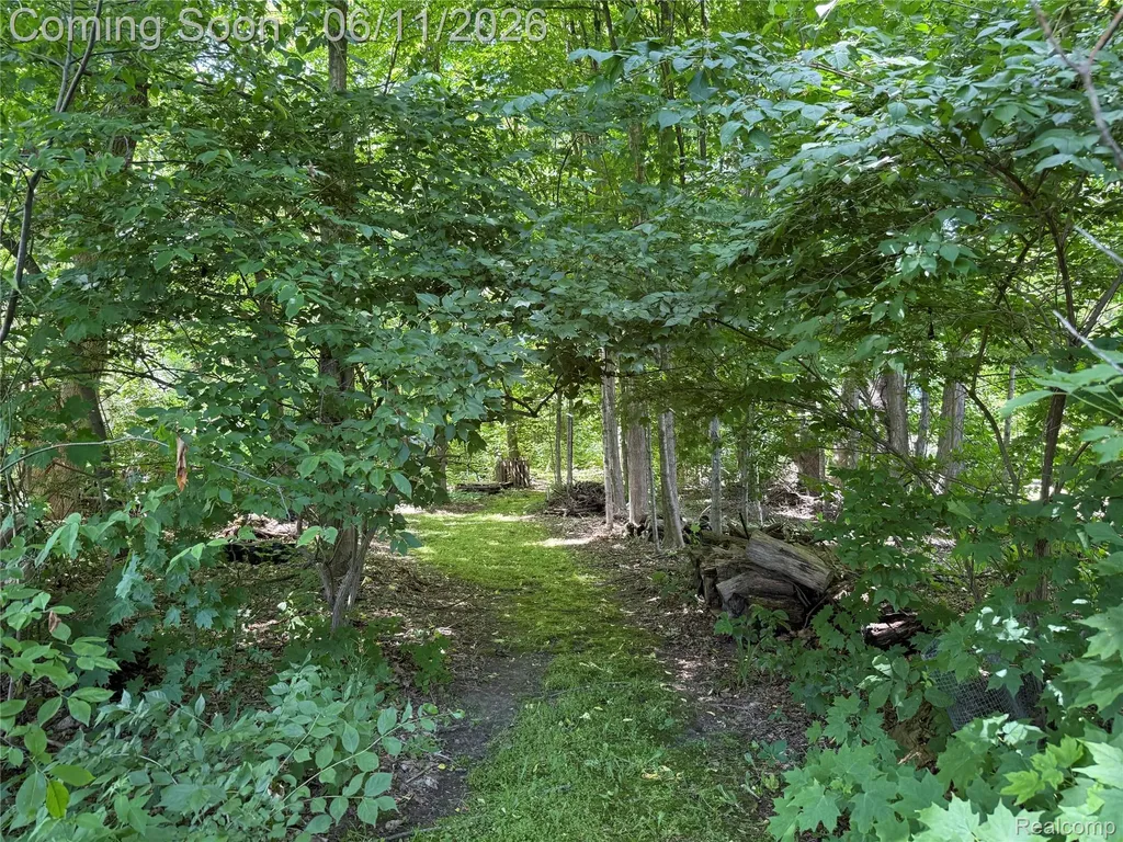 6563 Sun Valley Drive Independence Charter Township MI 48348