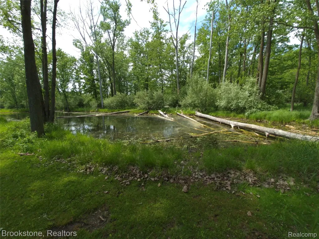 5910 Spring Valley Lane Dryden Township MI 48428