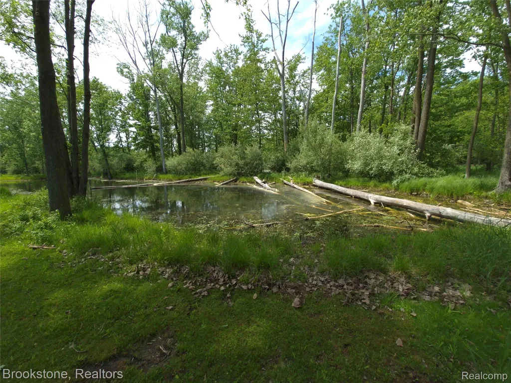 5910 Spring Valley Lane Dryden Township MI 48428