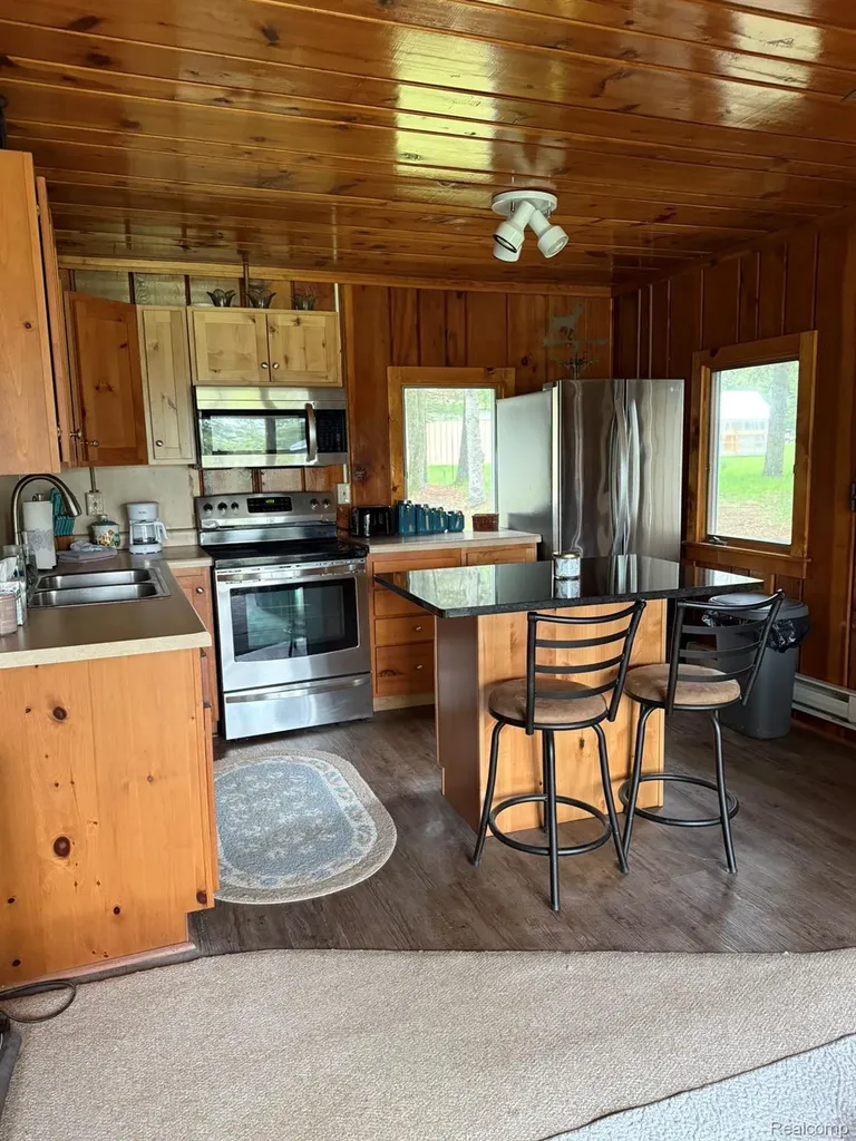 4348 N Shrew Road Alcona Township MI 48742