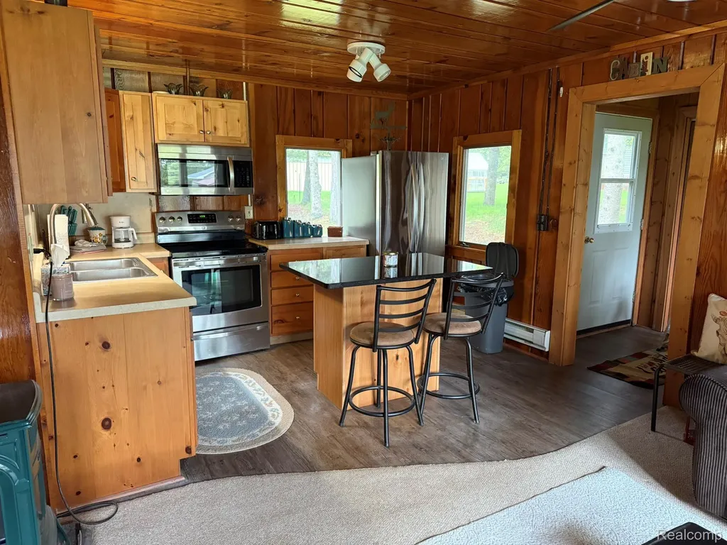 4348 N Shrew Road Alcona Township MI 48742
