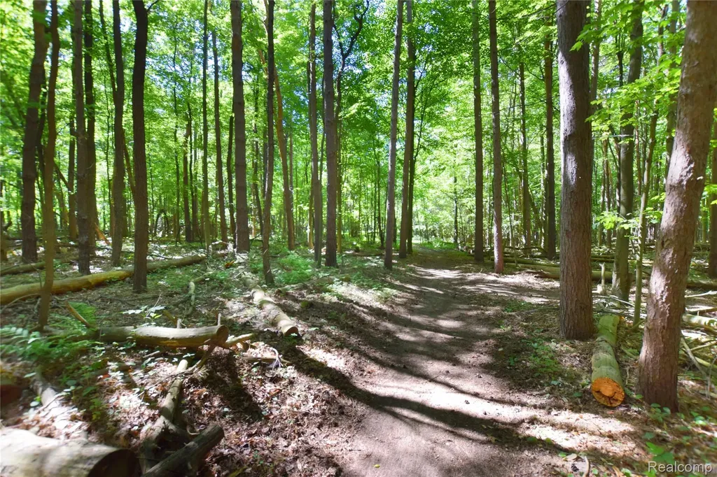 5298 Clear Lake Road Arcadia Township MI 48461