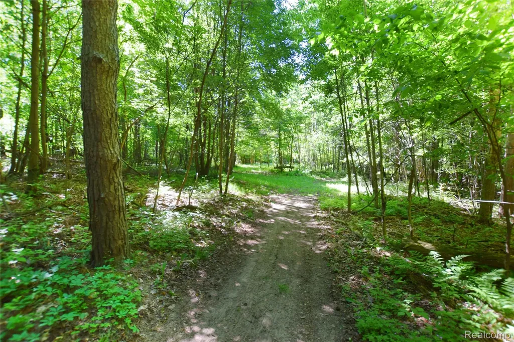 5298 Clear Lake Road Arcadia Township MI 48461