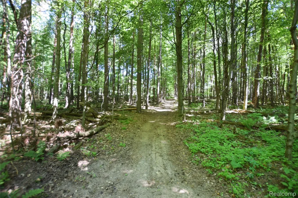 5298 Clear Lake Road Arcadia Township MI 48461