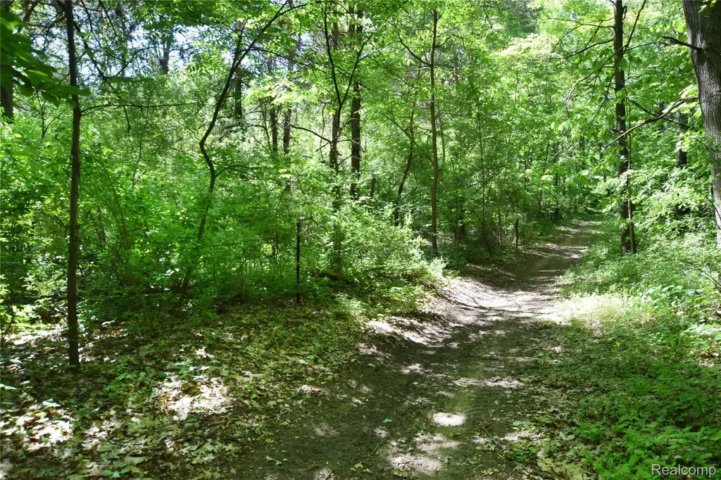 5298 Clear Lake Road Arcadia Township MI 48461