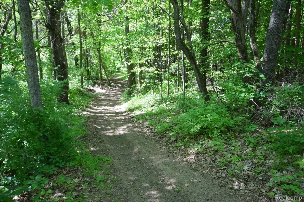 5298 Clear Lake Road Arcadia Township MI 48461