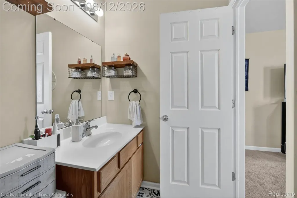 8604 Swartz River Drive Handy Township MI 48836