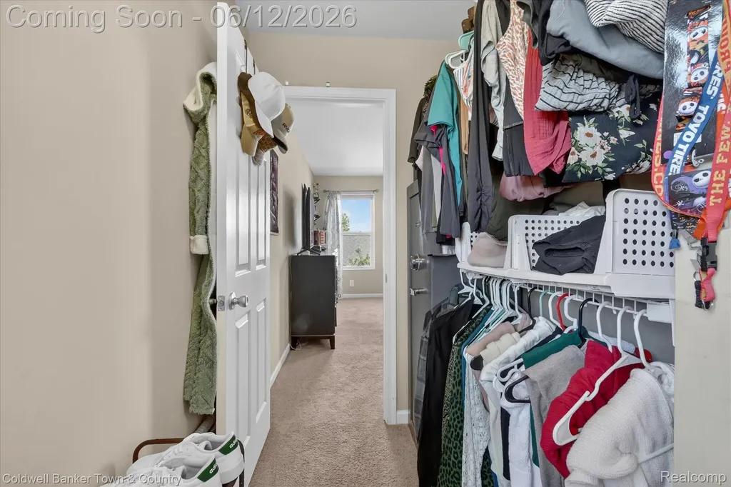 8604 Swartz River Drive Handy Township MI 48836