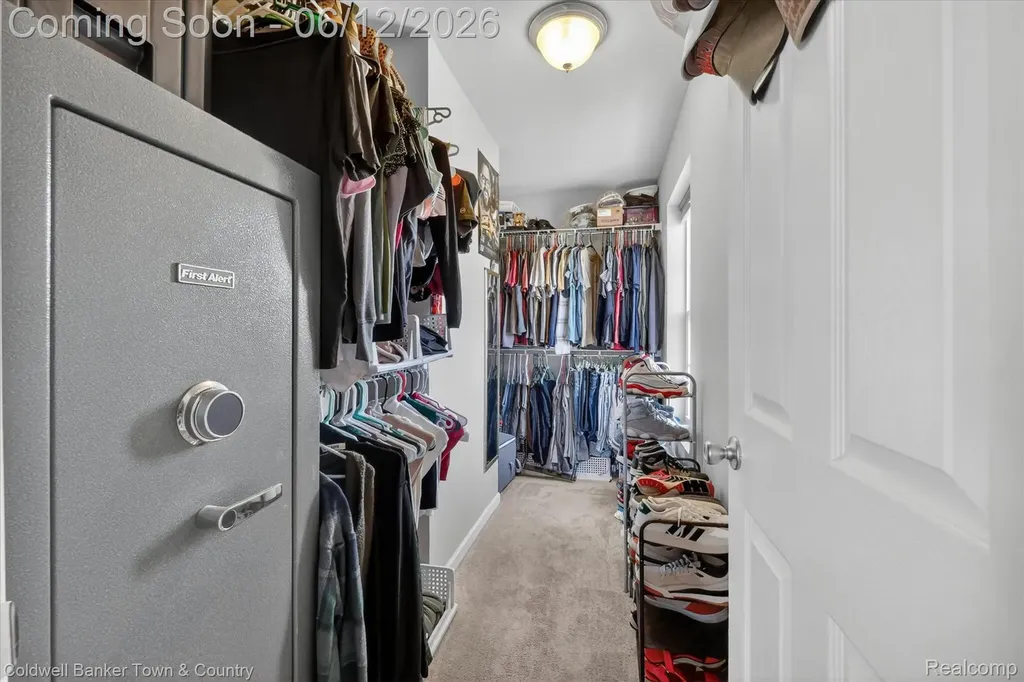 8604 Swartz River Drive Handy Township MI 48836