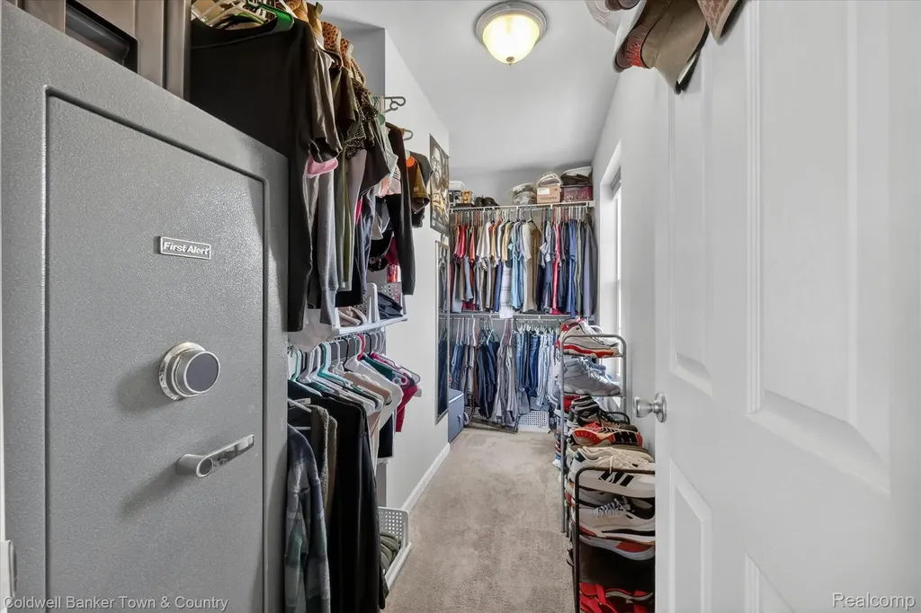 8604 Swartz River Drive Handy Township MI 48836