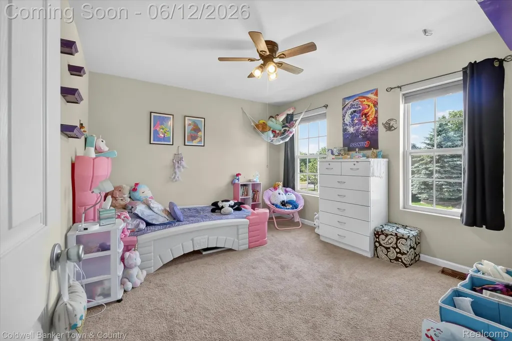8604 Swartz River Drive Handy Township MI 48836