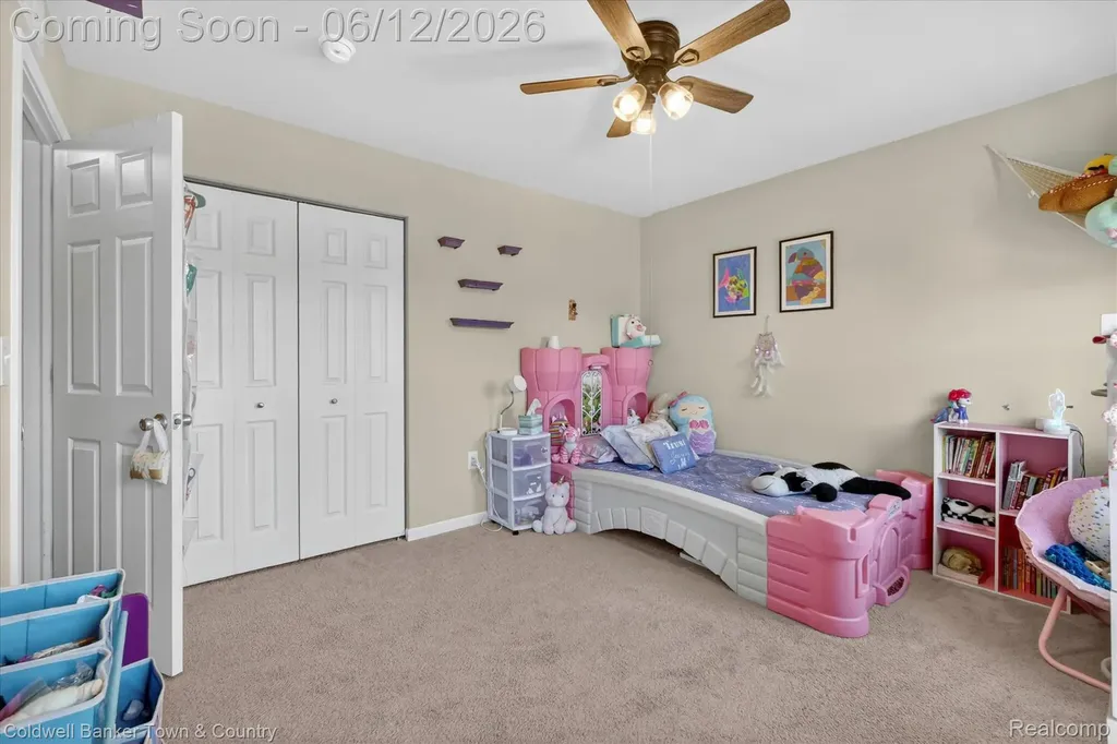 8604 Swartz River Drive Handy Township MI 48836
