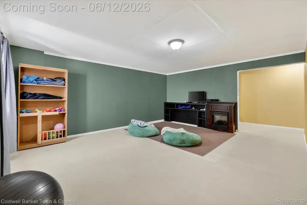 8604 Swartz River Drive Handy Township MI 48836