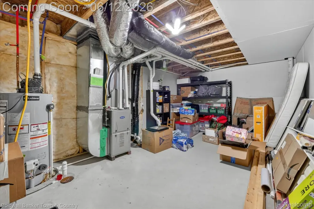 8604 Swartz River Drive Handy Township MI 48836