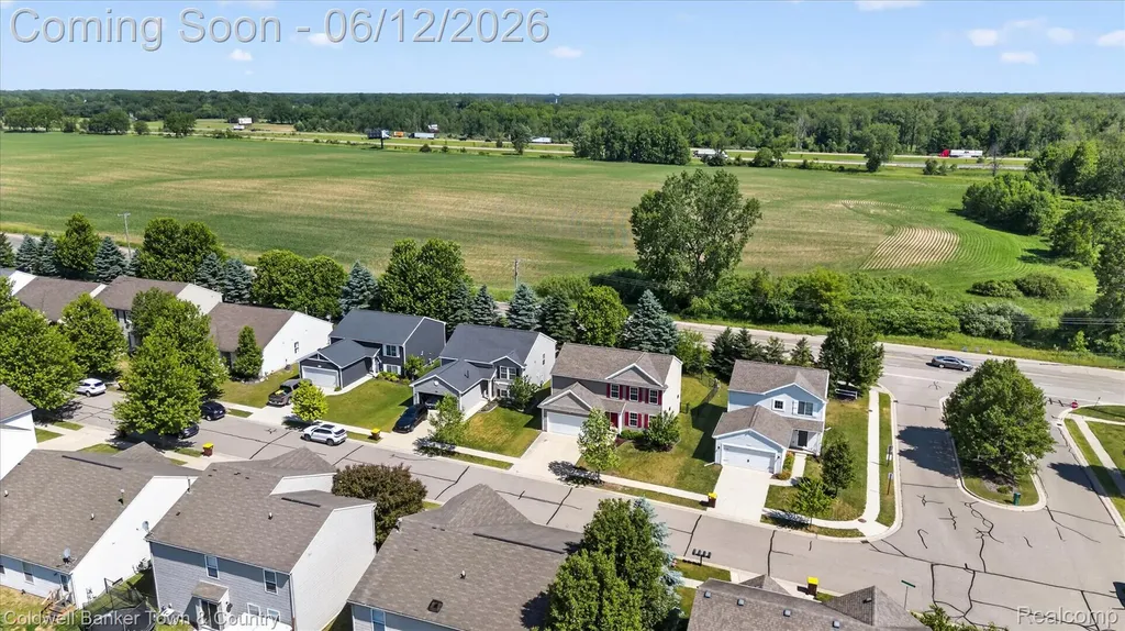 8604 Swartz River Drive Handy Township MI 48836