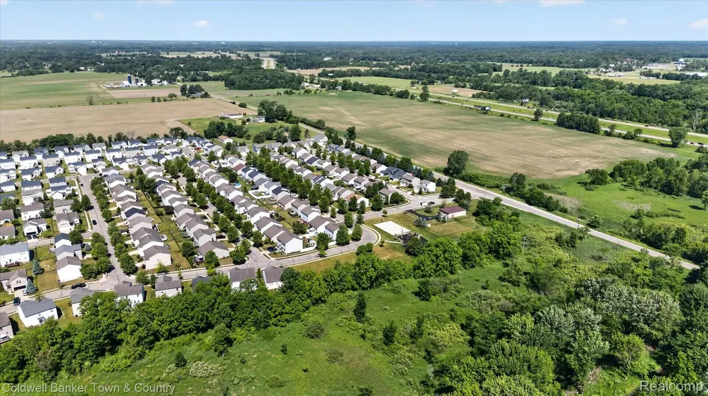 8604 Swartz River Drive Handy Township MI 48836