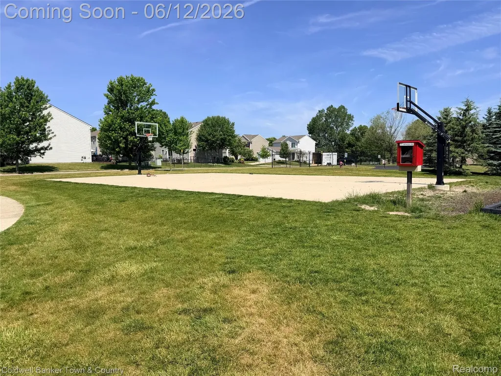 8604 Swartz River Drive Handy Township MI 48836