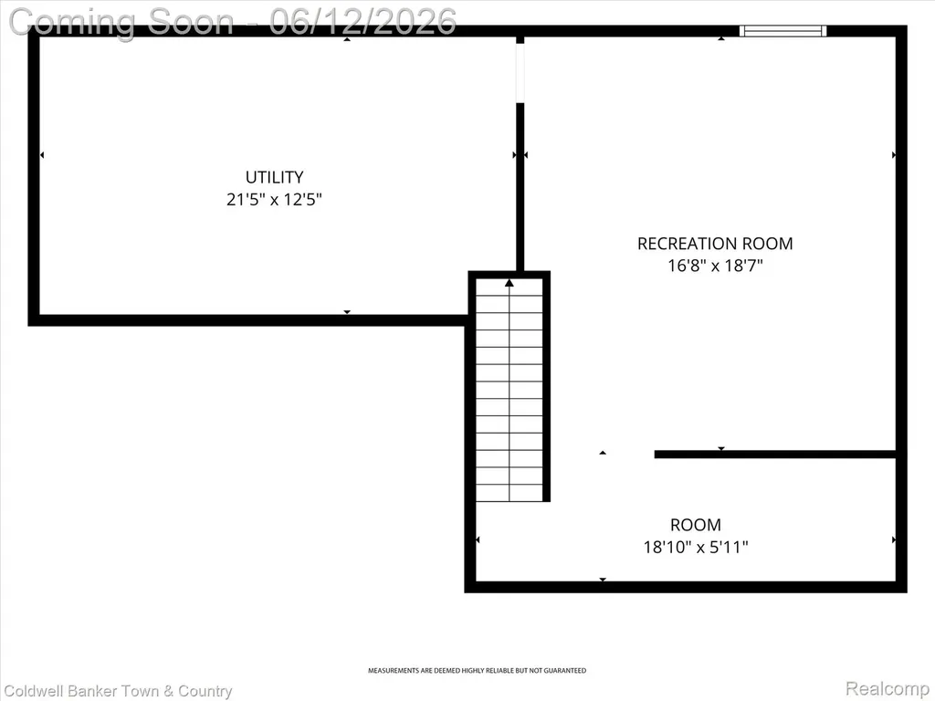 8604 Swartz River Drive Handy Township MI 48836