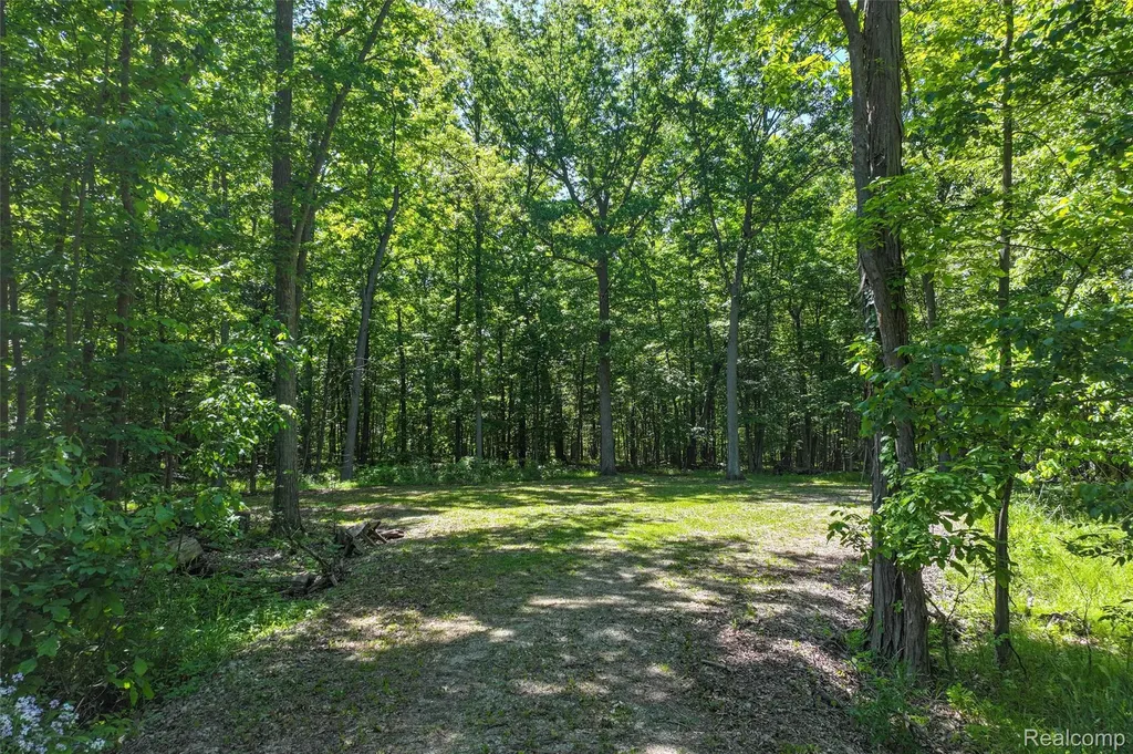 3075 Crandall Road Howell Township MI 48855