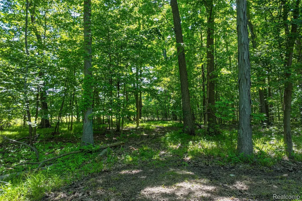 3075 Crandall Road Howell Township MI 48855