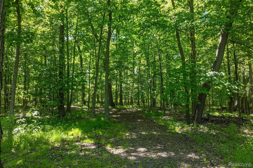 3075 Crandall Road Howell Township MI 48855