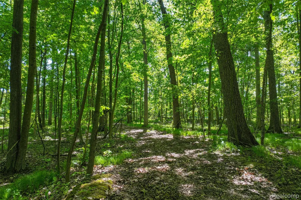 3075 Crandall Road Howell Township MI 48855