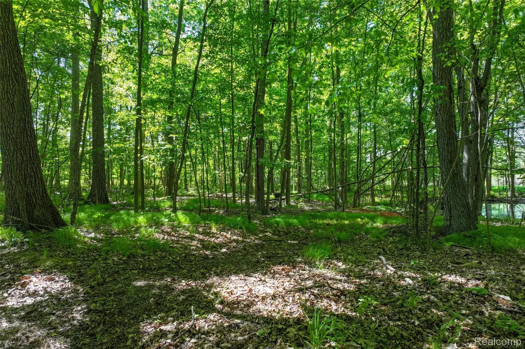 3075 Crandall Road Howell Township MI 48855