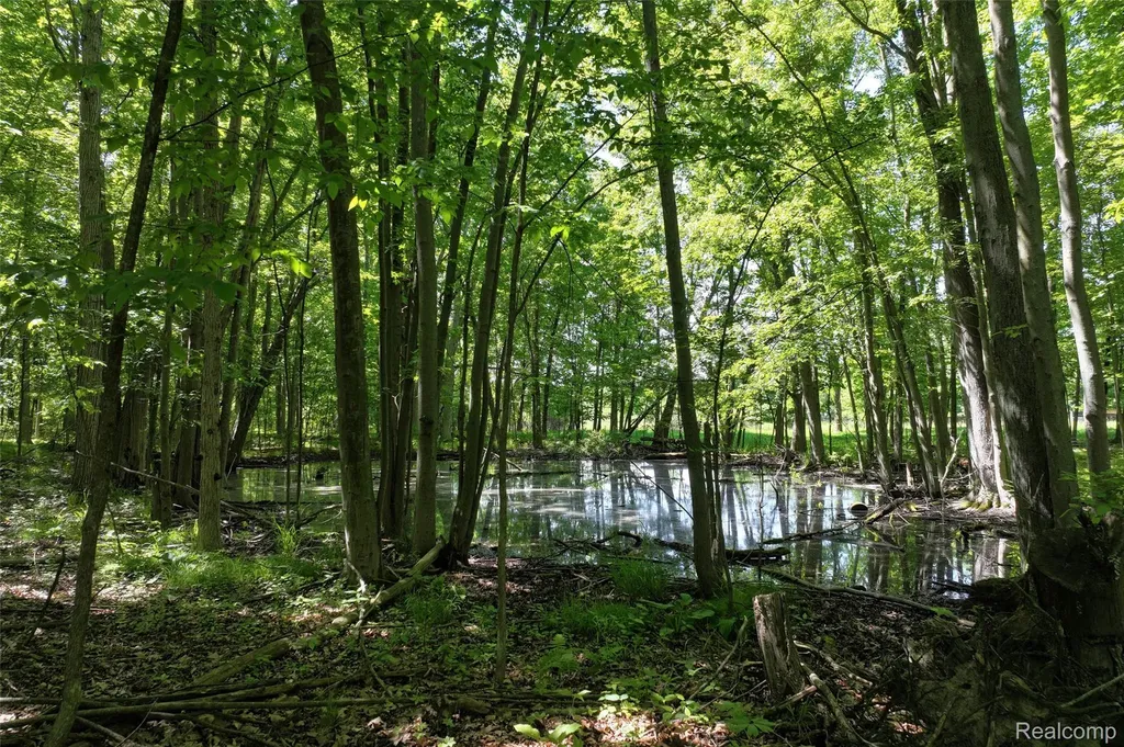 3075 Crandall Road Howell Township MI 48855