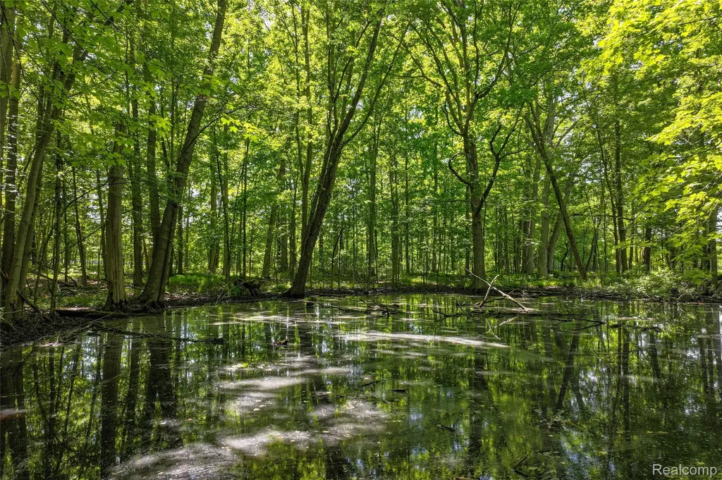 3075 Crandall Road Howell Township MI 48855
