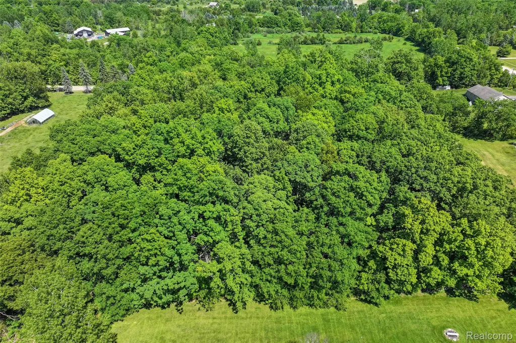 3075 Crandall Road Howell Township MI 48855